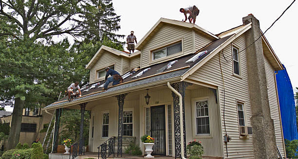 Best Roof Maintenance Services  in Whiting, WI